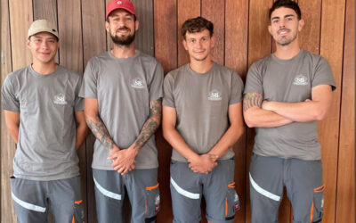 Présentation de la team SB