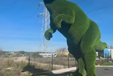 Magnifique collaboration